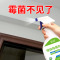 [补贴10%]墙体除霉剂白墙面墙壁纸去霉菌霉斑清洁家用防霉发霉清除喷雾神器