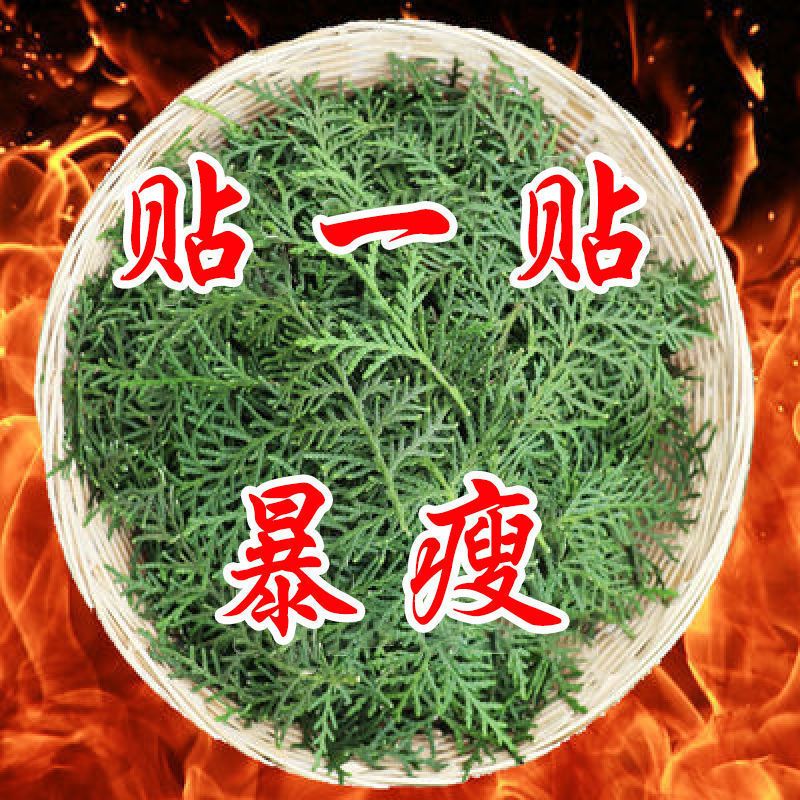 [腿都瘦没了]瘦腿神器学生女瘦身产品燃脂瘦肚瘦大小腿懒人滚珠 1盒[效果不明显/建议按疗程拍]