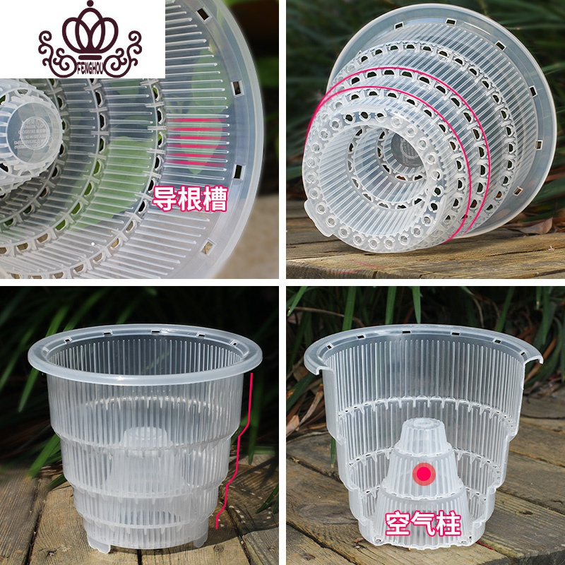 封后美莳透明蝴蝶兰控根花盆透气洋兰专用盆大号塑料树脂家用石斛花盆 [5只][单层盆]口径15cm洋兰盆[带空气柱] 中等