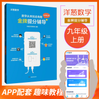 九年级上册洋葱数学金牌提分辅导 数学从未如此有趣 初三上学期数学提分训练教辅资料书一元二次方程 二次函数 旋转 圆 概率
