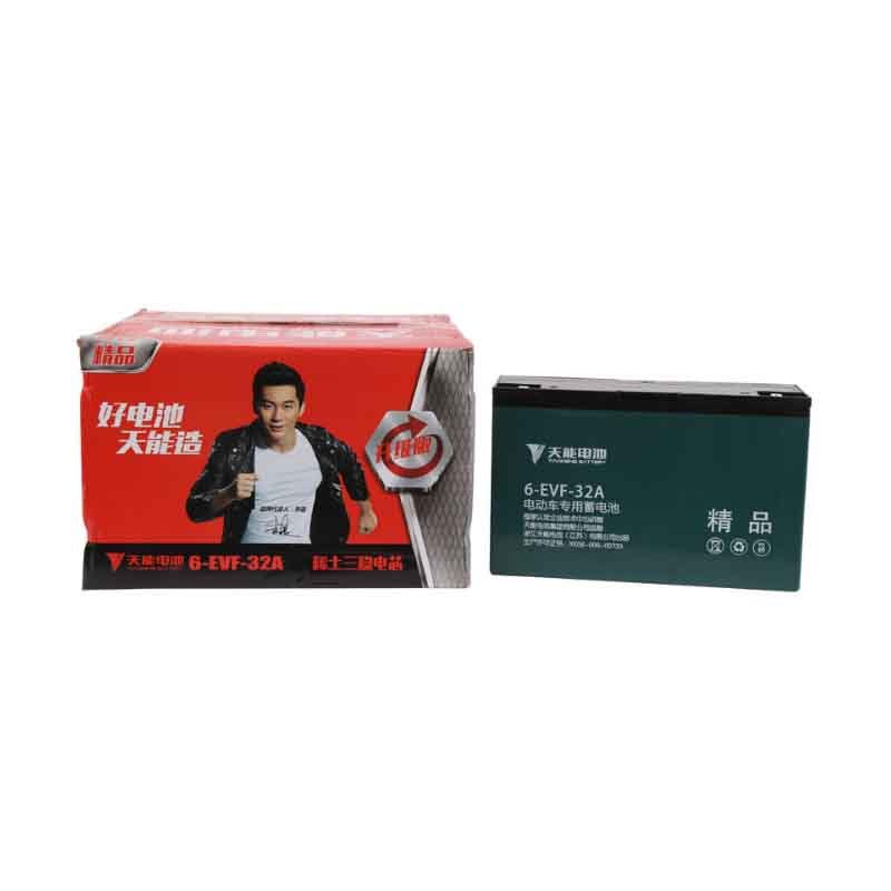 天能 电动车用密封铅酸蓄电池 48V 318mm*275mm*208mm 6EVF-32A
