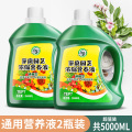 营养液植物通用型花肥发财树富贵竹绿萝水培盆栽家用花卉绿植肥料 通用型营养液2500ml*2瓶大包装更实惠