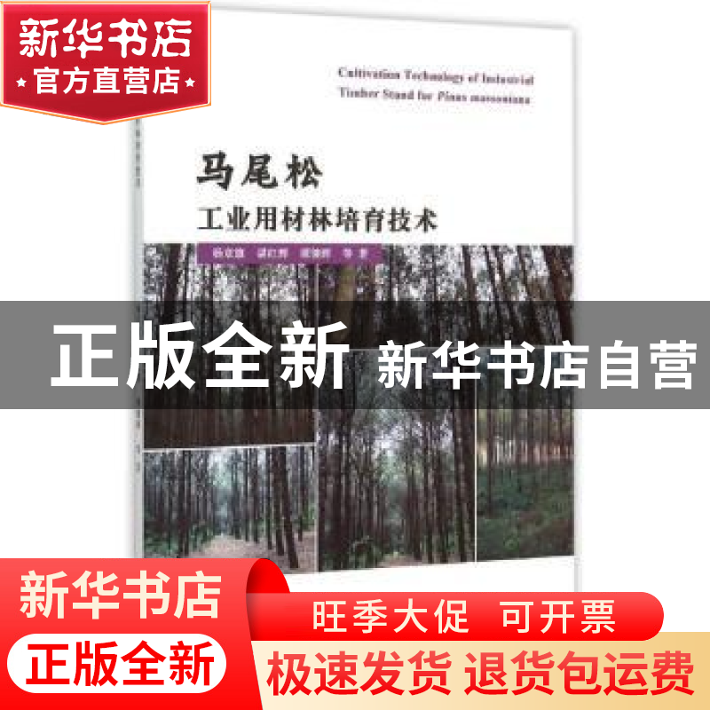 正版 马尾松工业用材林培育技术 杨章旗,谌红辉,谭健晖等著 中高清大图