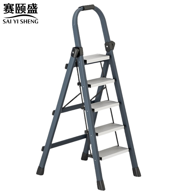 赛颐盛家用梯高清大图