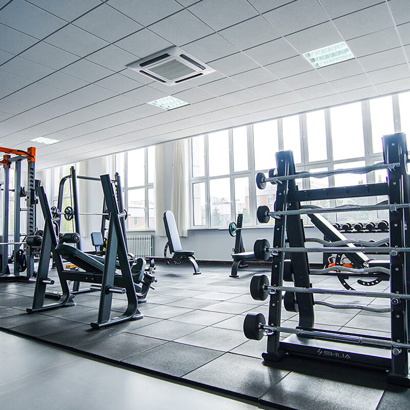 舒华(SHUA)SH-G6890[拉伸机]68系列自由力量训练健身房辅助训练器材高清大图