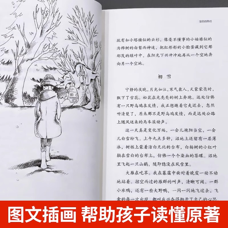 非洲神话故事 [正版]金色的草地书籍米普里什文著作三年级必读课外书统编小学生的语文教科书同步阅读书系儿童文学读物故事书长