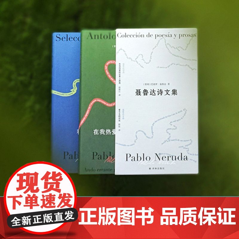 聂鲁达诗文集 巴勃罗·聂鲁达著 全新诗文集,聂鲁达诞辰1高清大图