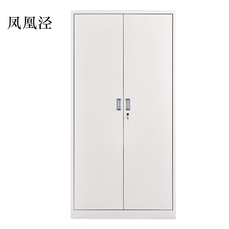 凤凰泾钢制资料柜档案柜财务凭证柜带锁储物柜铁皮柜书柜铁开门文件柜高清大图