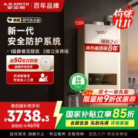 AO史密斯 13升燃气热水器 1级静音 不锈钢换热器包8年 精控恒温 抗风防冻JSQ26-TEW(天然气)