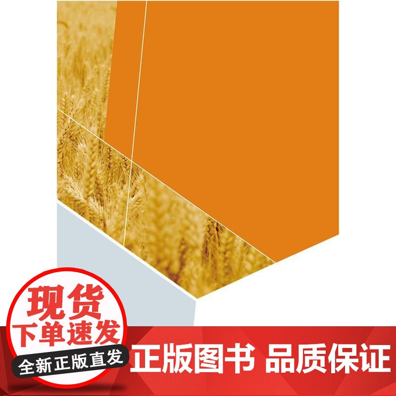 正版 小麦籽粒休眠研究 杨燕 孙永伟 冯玉梅主编 中国农业大学出版社店9787565532146高清大图