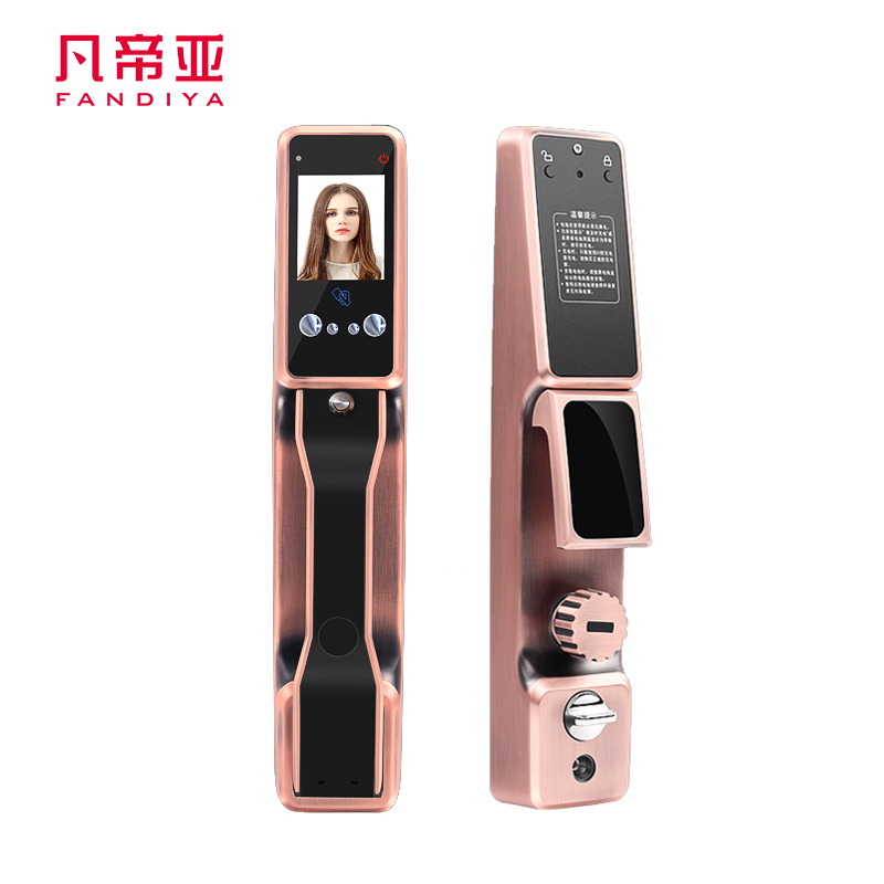 凡帝亚智能门锁FDY-RLSB06人脸识别静掌纹识别电子锁
