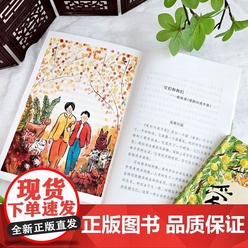 爱的川流不息 张炜 著 新蕾出版社 茅盾文学奖得主青少年亲情成长小说7-10岁儿童文学读物 橘颂作者张炜送给每位读者的爱高清大图