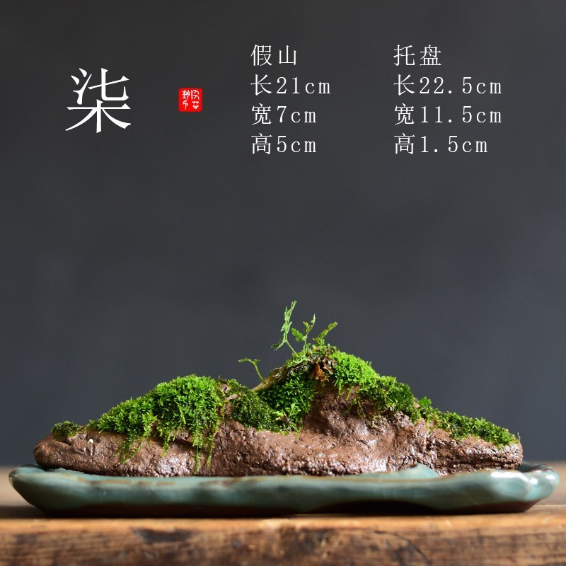苔藓盆栽假山吸水石盆景水培青苔造景办公室桌面 花盆