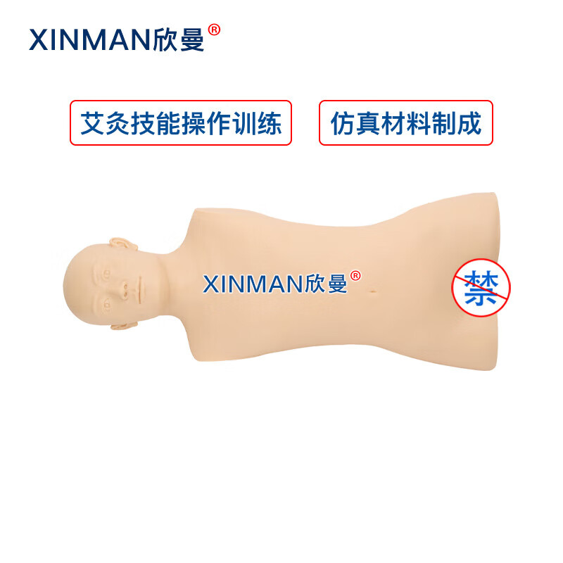 欣曼科教 中医艾灸训练模型 艾灸练习模拟人XM-ZYAJ高清大图