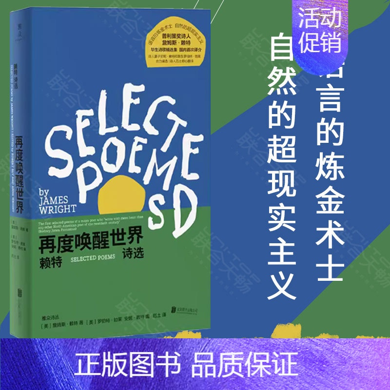 【正版】店 再度唤醒世界:赖特诗选 豆瓣2023年度诗歌 普利策奖诗歌奖作者作品 诗人厄土翻译 外国诗集 偏僻之地 文