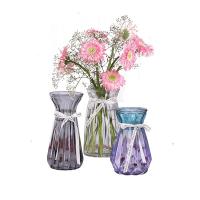 【特惠】透明玻璃花瓶北欧客厅插花干花摆件现代简约大小花器清新装饰花盆 5号15厘米两只装【兰紫】送丝带
