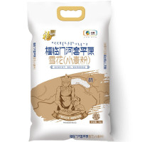 福临面粉 河套平原雪花 小麦粉 河套粉 中筋面粉 适合面条饺子馄饨等筋道面食 十斤 5kg