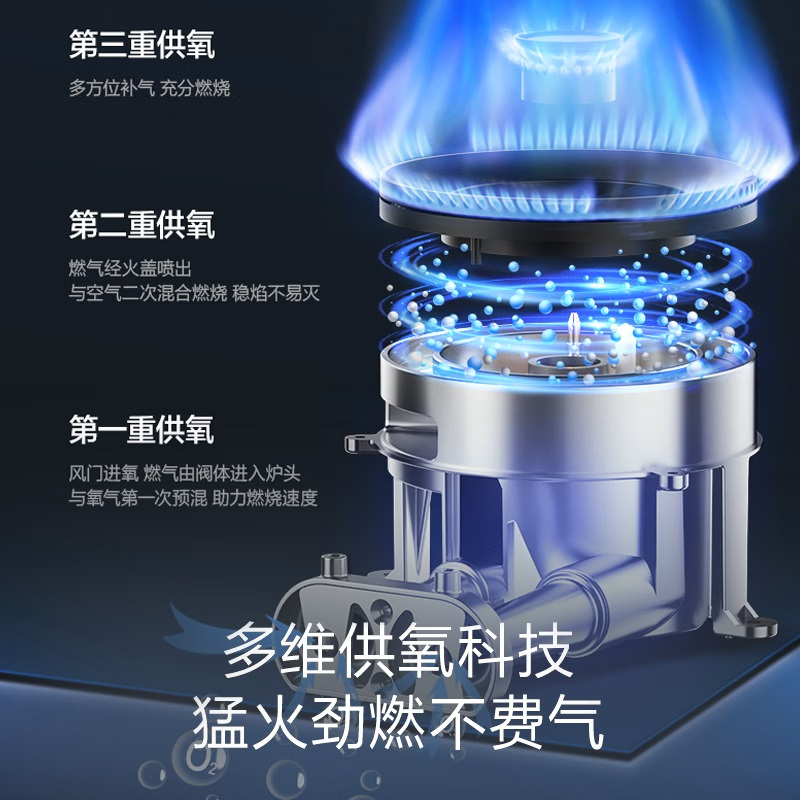 万和燃气灶天然气5.0KW双眼灶具台嵌两用煤气灶G6-L50-12T高清大图