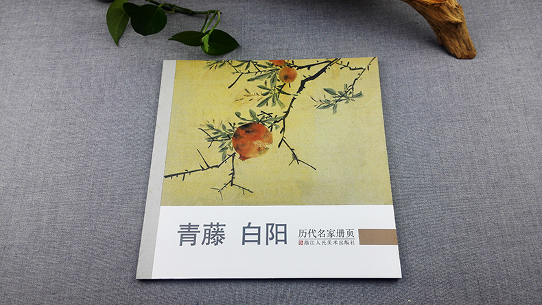 [醉染正版]历代名家册页青藤白阳 徐渭陈淳精品花卉书画集/中国名画家国画花鸟山水画作品全集/正版传世名画美术鉴赏临摹画册高清大图