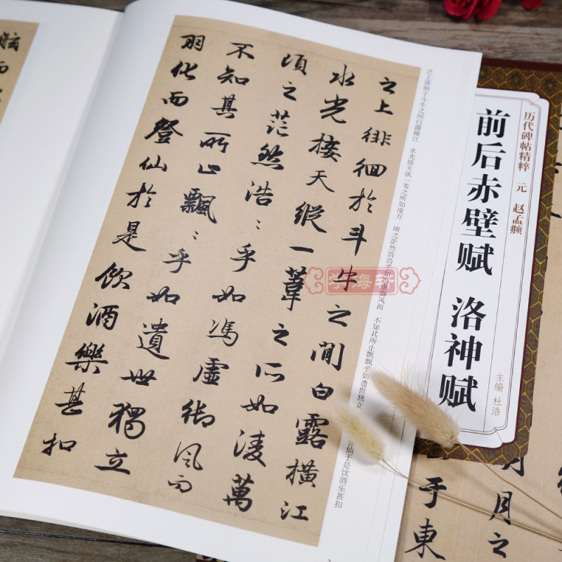 赵体赵孟俯行书毛笔字帖书法成人临摹古帖简体旁注原碑原贴籍安徽美术