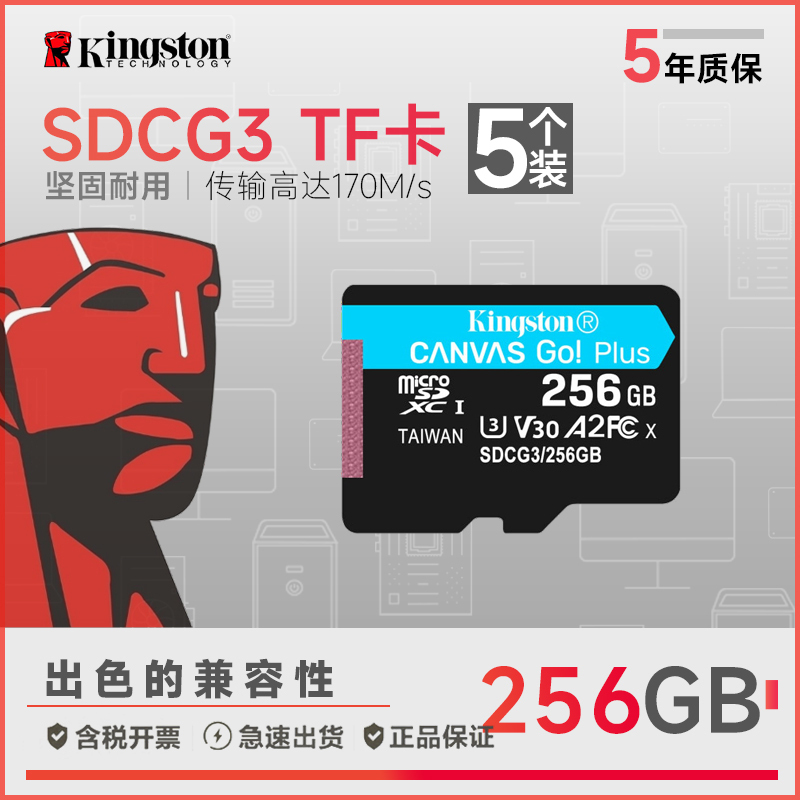 SDCG3/256GB(蓝卡)5个划算