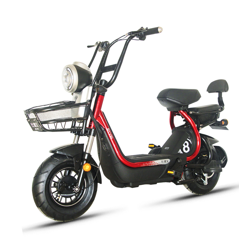 比德文电瓶车锂电池电动车电动自行车魔王pro 可取充电TDT1819Z