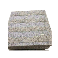 先围 盲道砖 250x250*20mm 块