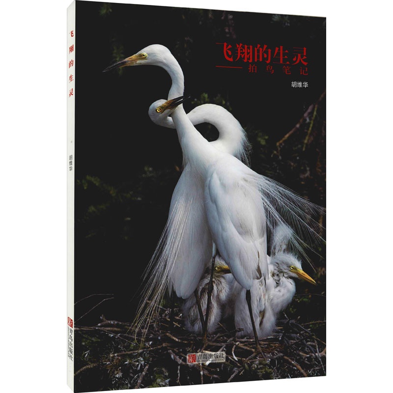 [醉染正版]飞翔的生灵 胡维华 青春言情小说故事经典作品读物图书 书籍 青岛出版高清大图