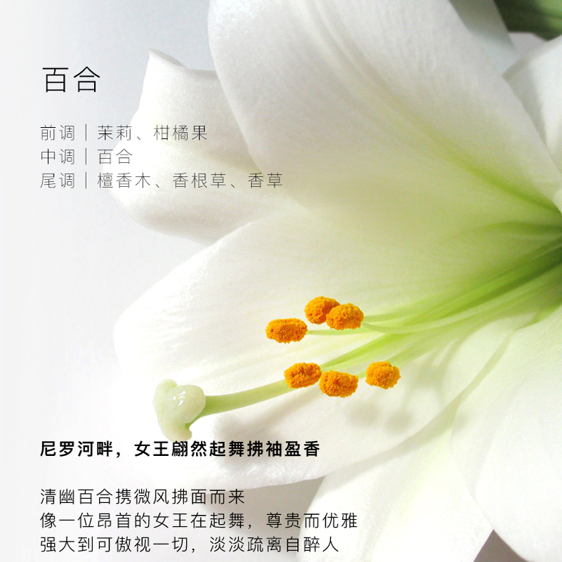 东方宝石(Tesori D’oriente) 埃及艳后风情保湿香氛身体乳350ml(单位:瓶)高清大图