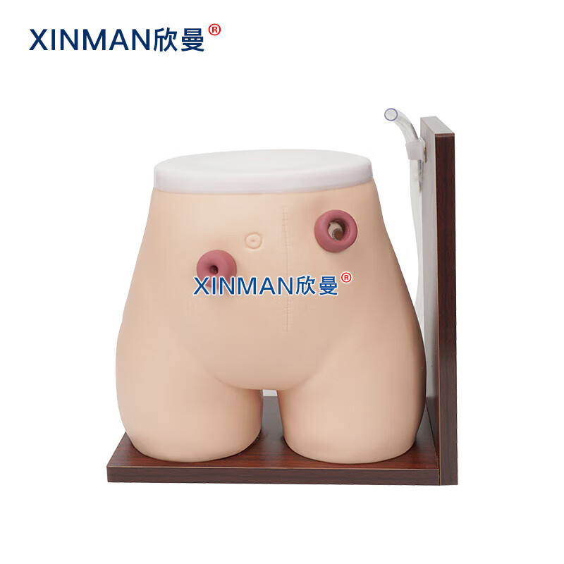 欣曼科教 高级瘘管造口术护理模型XM-H38高清大图