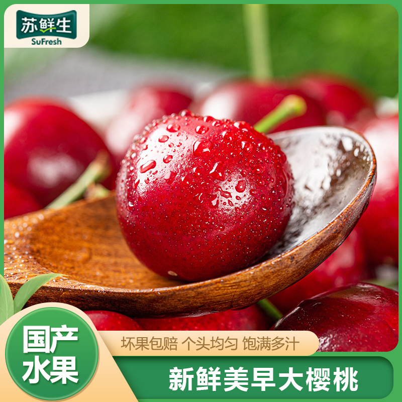 [苏鲜生]山东美早大樱桃 净重1.8斤装 XL级 应季车厘子 新鲜水果 应季水果1