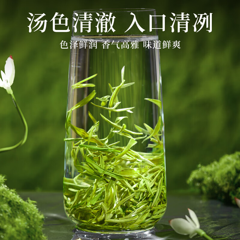 品如故JX品如故茶叶新茶绿茶信阳毛尖250g 明前嫩芽春茶新老包装 随机发货高清大图