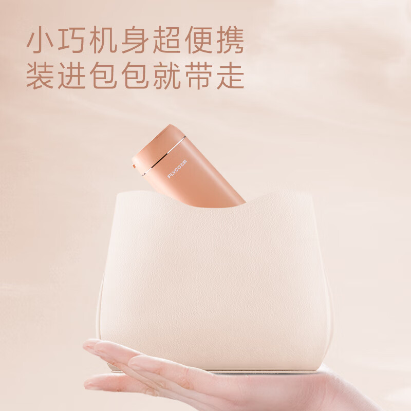 飞科(FLYCO)电动冲牙器便携洗牙器牙齿清洁4挡模式4种喷嘴 FP7800蜜瓜橙高清大图