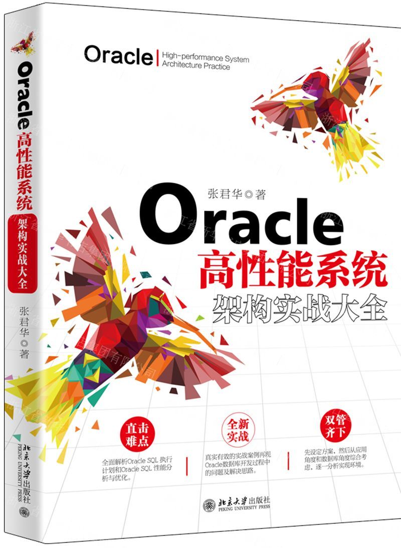 【N】Oracle高性能系统架构实战大全-9787301309612