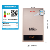 小霸王 DS6010燃气热水器家用10L天然气智能变频恒温特价强排式