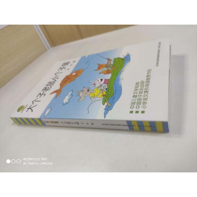 醉染图书大个子老鼠小个子猫9787531348146高清大图