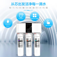 格力（GREE）净水器WTE-PC8-5052 家用净水机 反渗透膜五级精滤直饮机 高端纯水机
