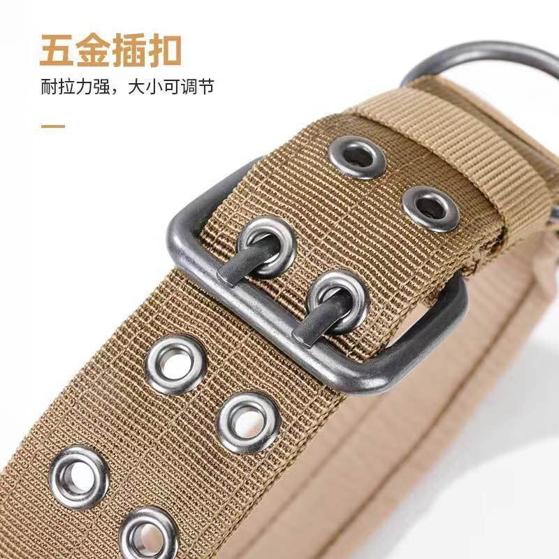 CCKO狗项圈中大型犬猛犬脖套防咬狗脖圈牵引绳防止结实 卡其色[带孔项圈+阿拉斯加狗牌+弹力绳]M建议[30-50斤]高清大图