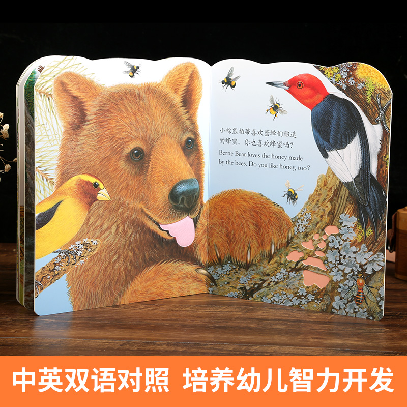 [醉染正版]小熊波比 亮丽精美触摸书系列 宝宝触摸类绘本 0-1-2-3岁婴儿幼儿启蒙认知早教书籍 宝宝感官刺激触摸立体高清大图