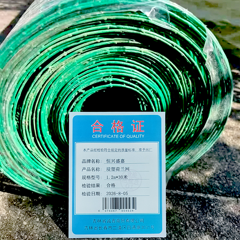 恒兴盛嘉 浸塑荷兰网 1.2m*30米 卷高清大图