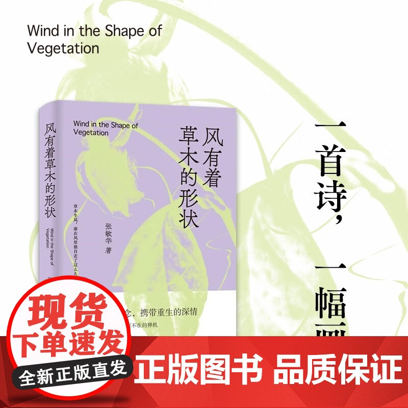 风有着草木的形状 张敏华 著 诗歌词曲高清大图
