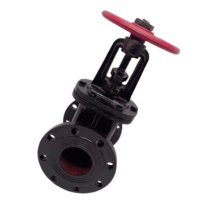 冰城同祥 铸铁闸阀 Z41T-16 DN50 台高清大图