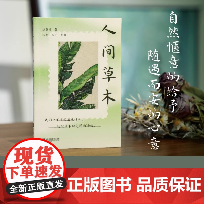 2025百班千人阅读 6六年级小学生课外书 人间草木 9-12岁青少年儿童文学成长图书课外阅读书籍课外阅读必读正版书籍高清大图