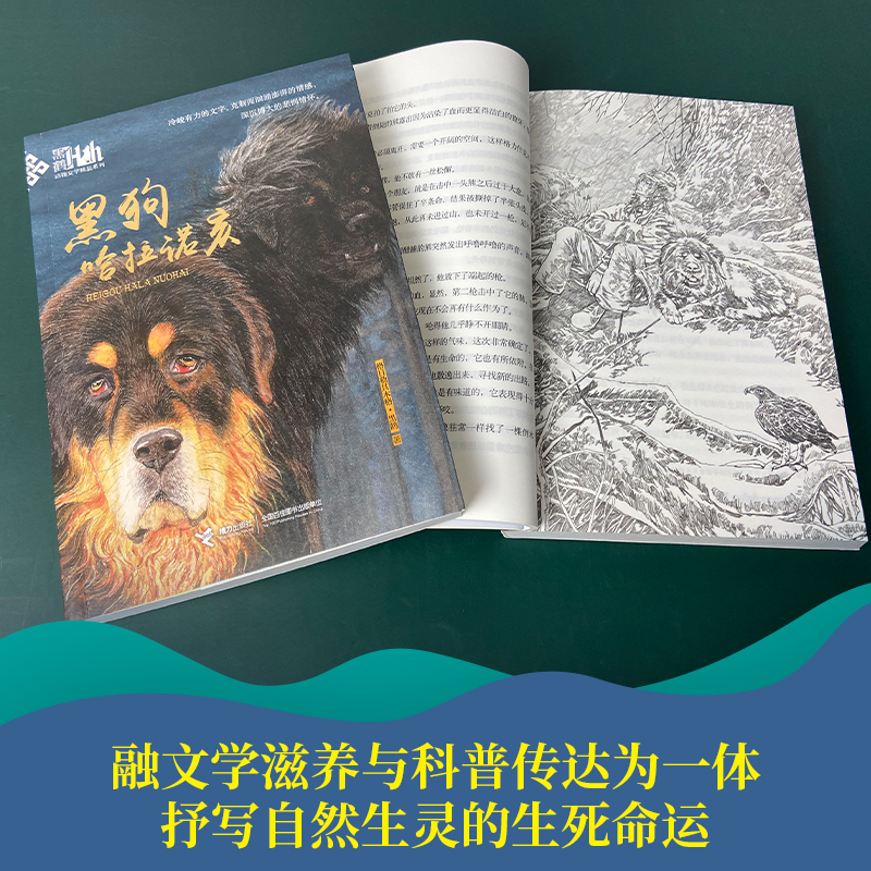 [M]黑狗哈拉诺亥 格日勒其木格·黑鹤 著 -9787544843997高清大图
