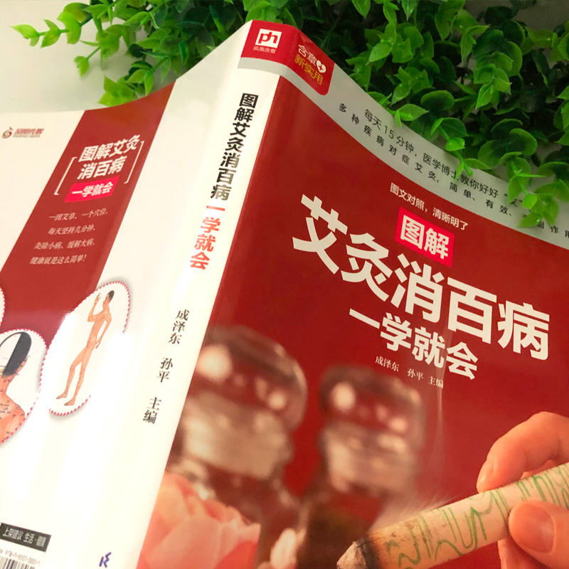 醉染图书图解艾灸消百病一学就会9787553738031高清大图