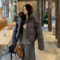 年冬季韩版立领连帽棉服女短款新款宽松加厚保暖面包服外套 XL（推荐145-168斤） 灰色