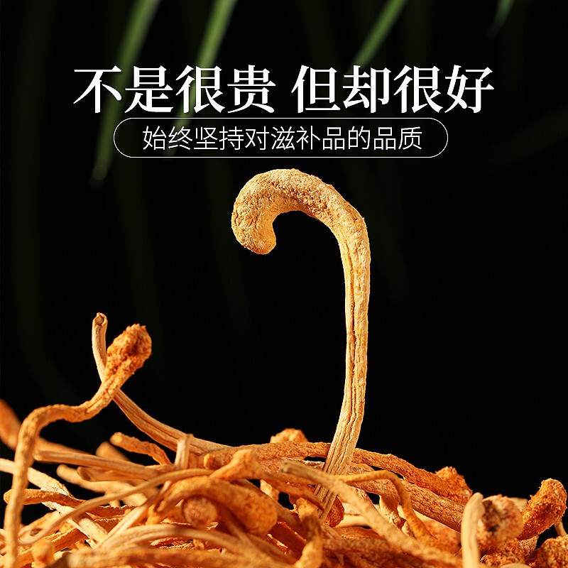 庄民 虫草花50g/罐 断草金蛹虫草 孢子头 正宗新会 精选好货 口感好味道香 非北虫草花