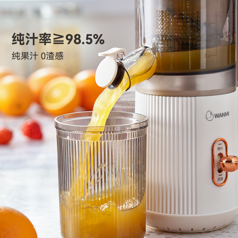 顽米原汁机榨汁机汁渣分离小型炸汁家用全自动便携水果汁杯