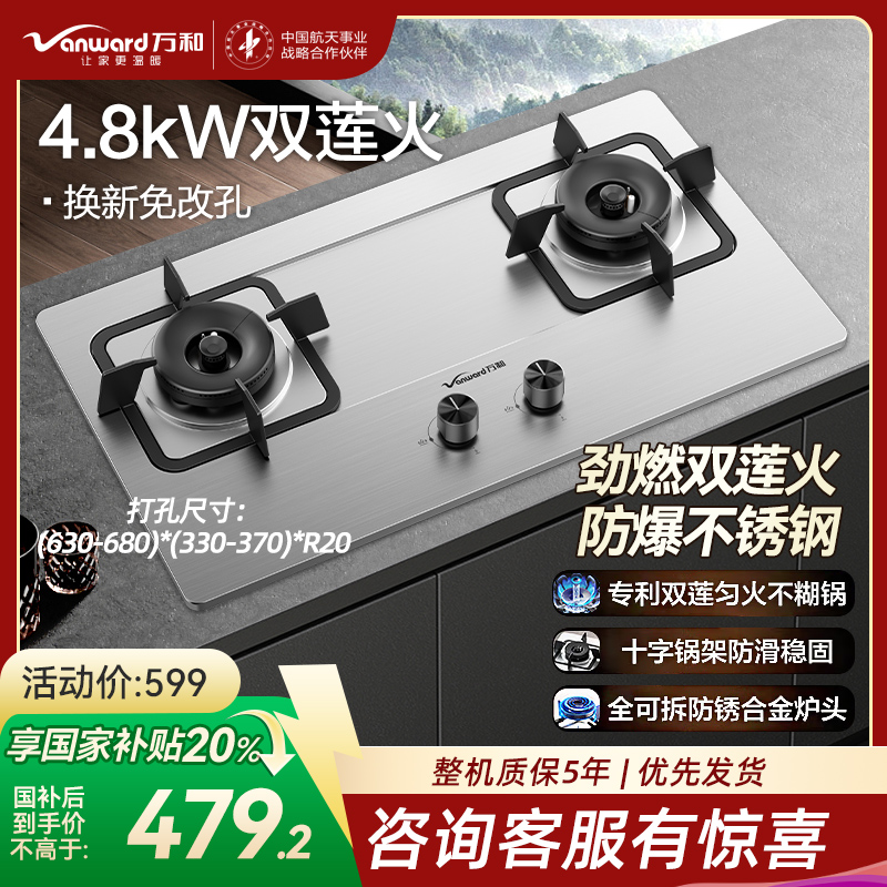 万和 一级能效 [蓝莲花]4.8kW大火力 家用台式嵌入式燃气灶具 双眼灶 不锈钢 JZY-B9B50(液化气)