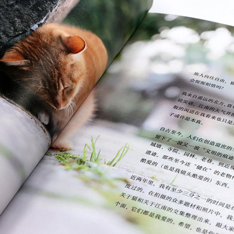 喵在江南 [正版]出版社喵在江南 徐岩猫咪摄影集写真随笔可爱宠物街猫拍摄照片相册萌趣猫猫照片喵星人摄影画册创意礼物高清大图